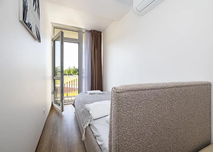 Mano Sventove, By Cohost Palanga