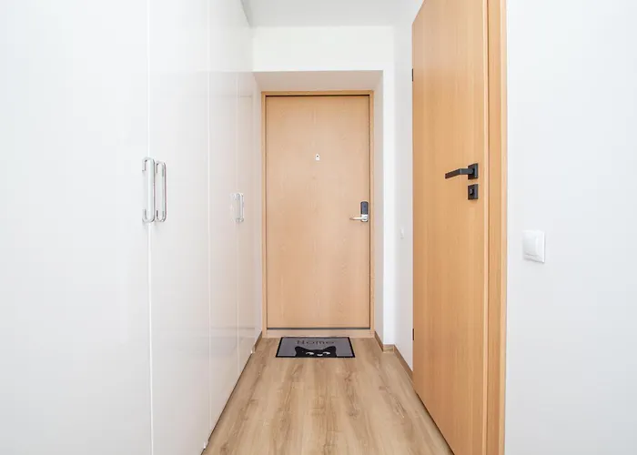 Mano Sventove, By Cohost פלאנגה