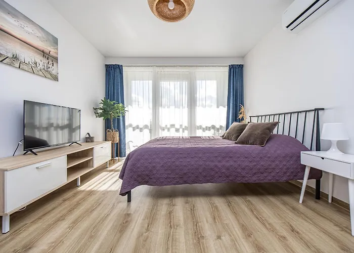 Mano Sventove, By Cohost * Palanga